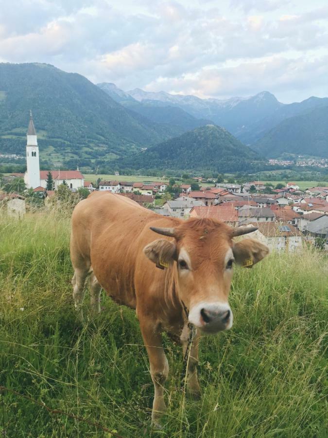 Apartmán Hisa Bubi Tolmin Exteriér fotografie